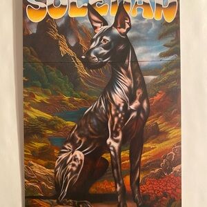 Ozzie Juarez Art card Retna Estevan Oriol Shepard fairey RVCA Kaws Barry McGee